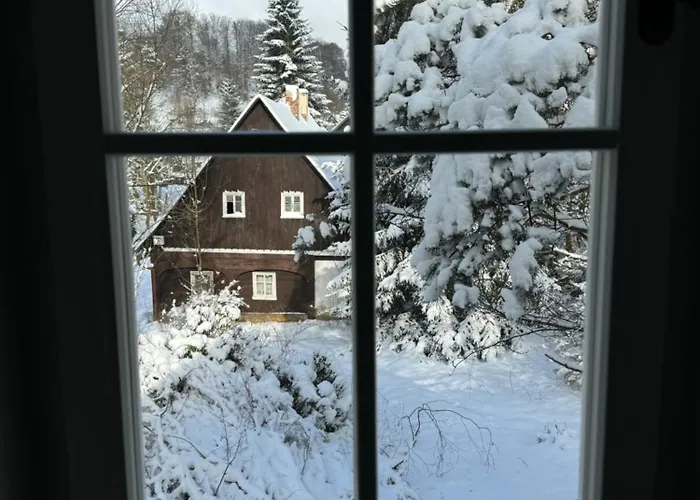 Villa Kouzelna U Lesa *